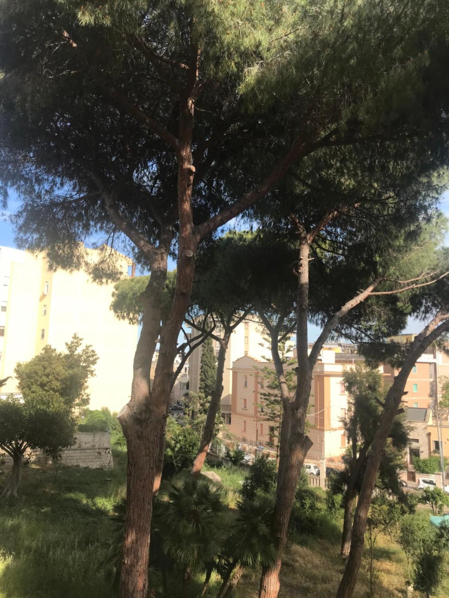 Villa San Giuseppe Brindisi Exterior foto